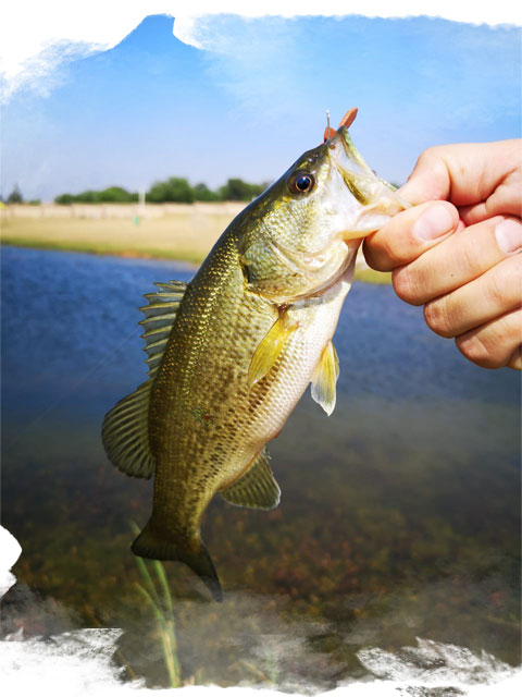 Guest holding a fish at the Gnu Valley catch-and-release fishing dam