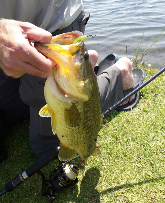 Open fishing dam and grassy banks at Gnu Valley