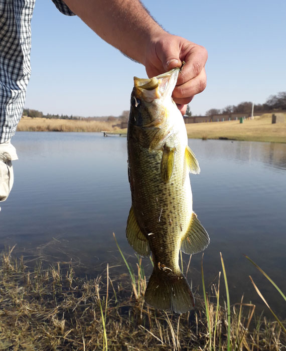 Guest fishing from the bank at Gnu Valley dam